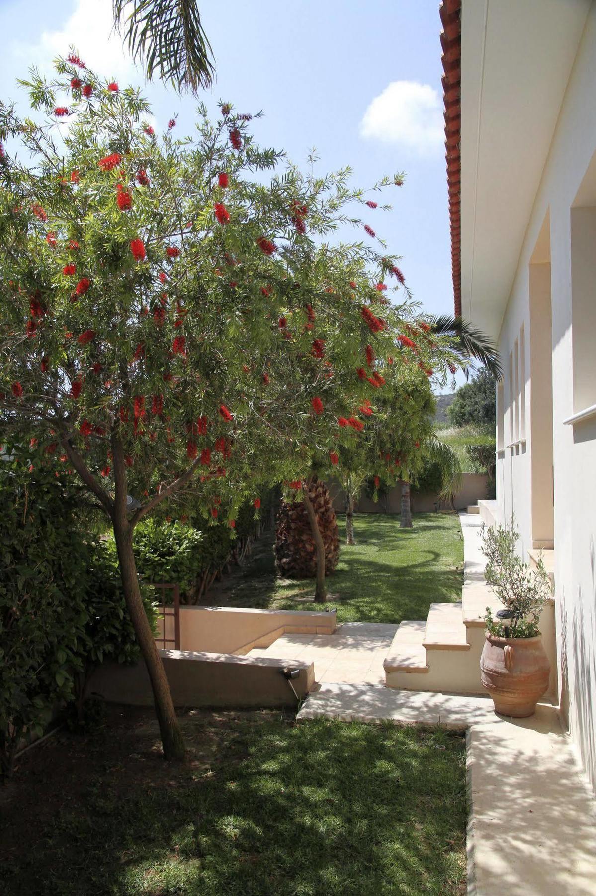 Eve Pissouri Xιnisteri Villa Zewnętrze zdjęcie